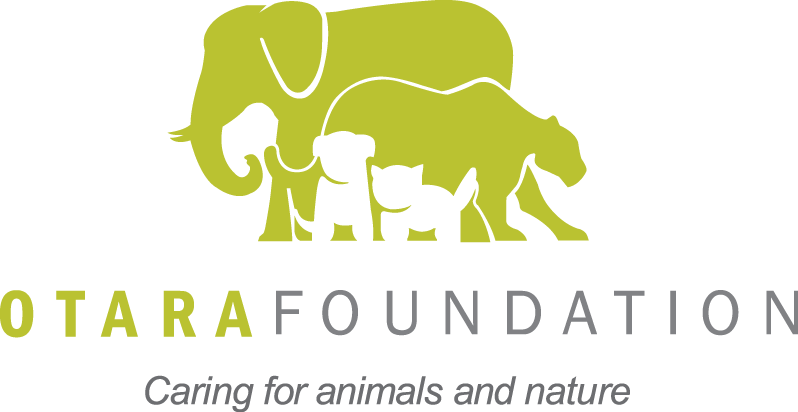 Otara Foundation