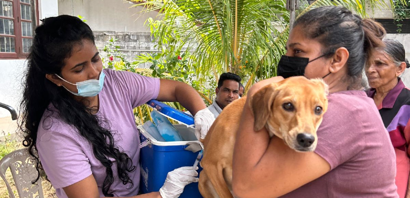 Sterilization Clinics in Partnership with Marchig