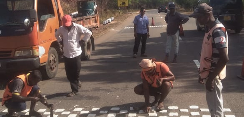 Protecting Elephants and Motorists on Habarana–Trinco Road